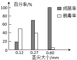 马铃薯茎尖外植体大小对幼苗成苗率与脱毒率的影响研究