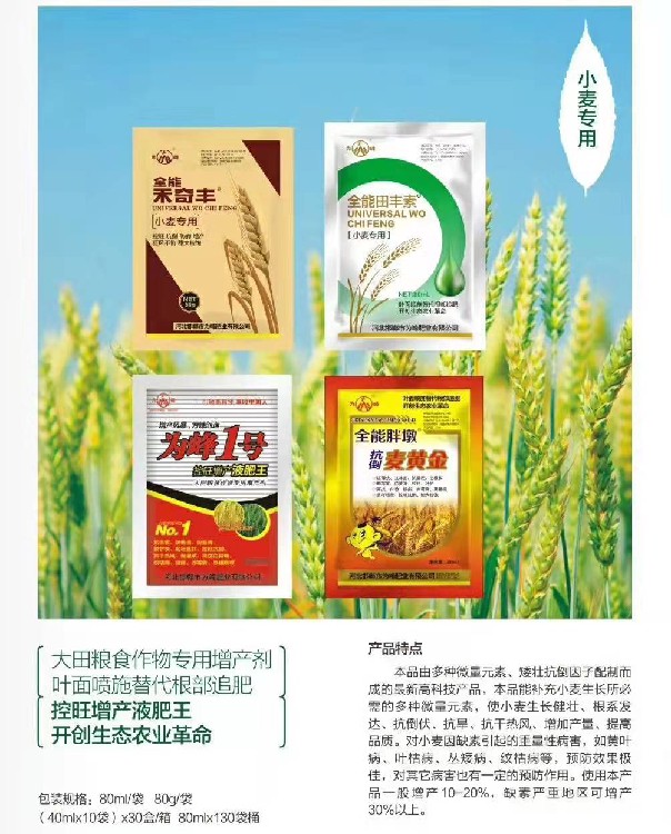 麦黄金与苗成科技 宿州“全能胖墩”背后的农业创新故事