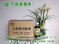 从苗成科技到农富康生物科技 一位媒体人眼中的产业链协同