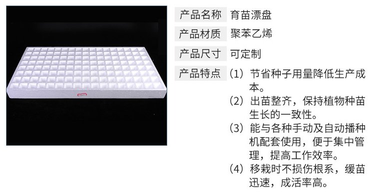 漂浮泡沫板水上种植技术 白色泡沫育苗盘在蔬菜、药材与烤烟育苗中的应用