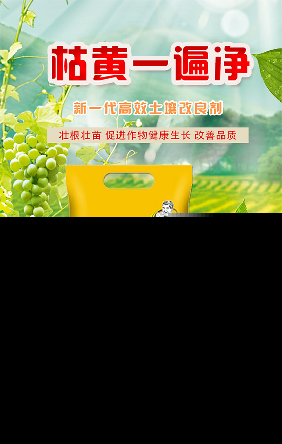作物死苗烂根现象多，该怎么防治？死苗烂根快速解决方案！