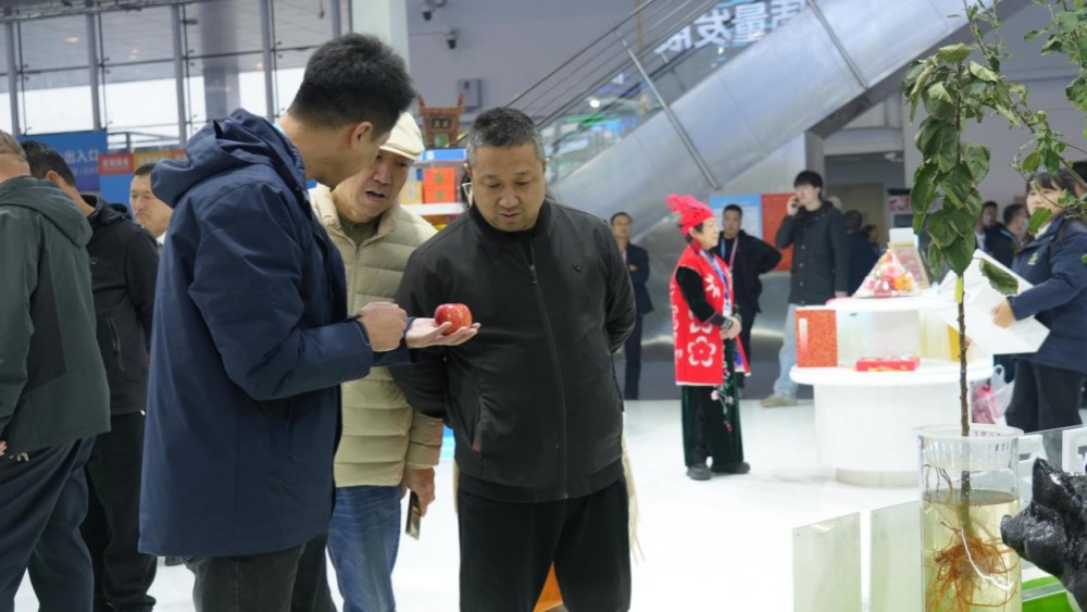 扎根杨凌沃土，以科技之力育天下良苗——苗成科技的农高会成长答卷
