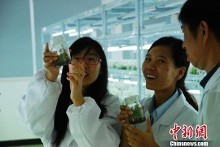 中国花博会生物科技园盛大开园 打造国内顶级苗木基因工厂